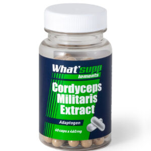 Cordyceps Militaris Extract (Polysaccharide 50%) / 60caps x 460mg