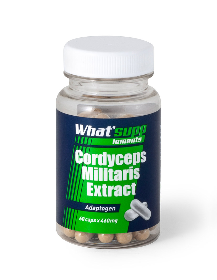 Cordyceps Militaris Extract (Polysaccharide 50%) / 60caps x 460mg