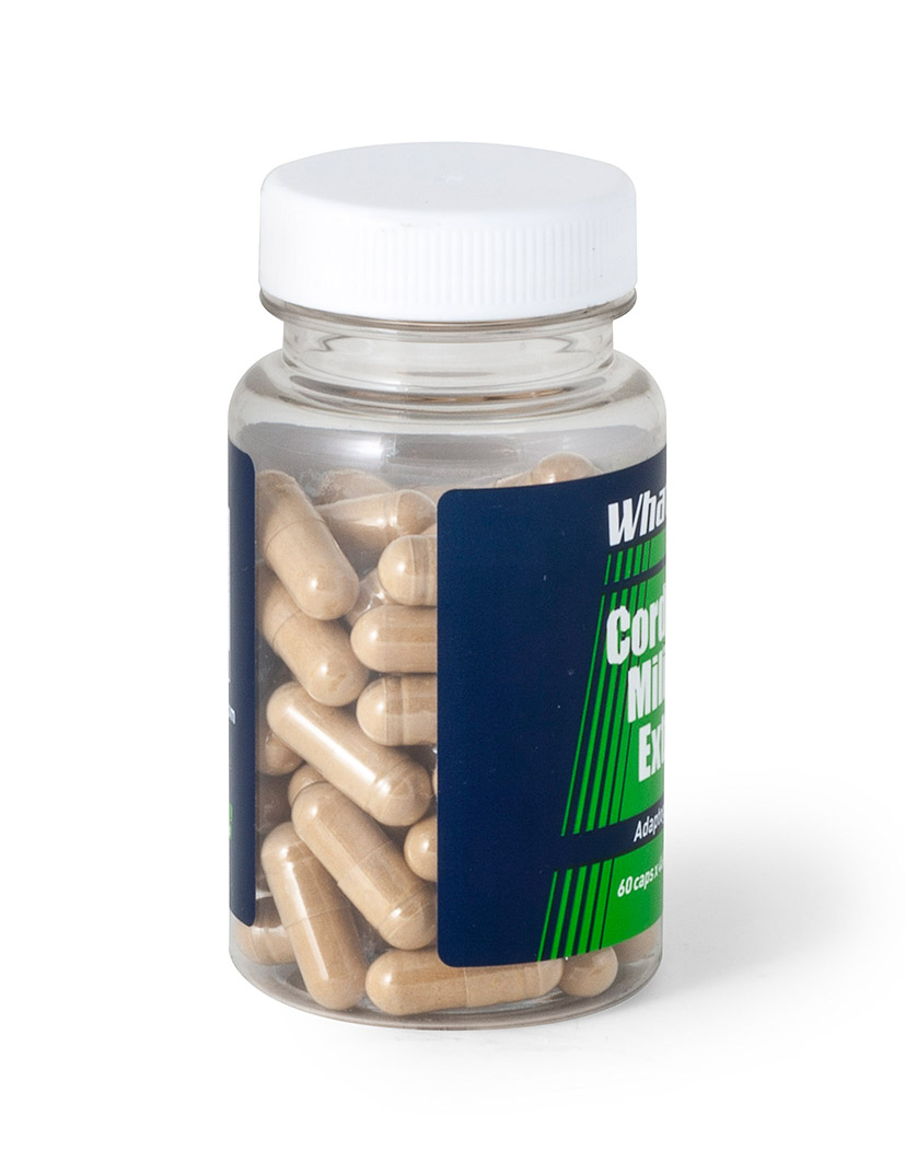 Cordyceps Militaris Extract (Polysaccharide 50%) / 60caps x 460mg — изображение 3