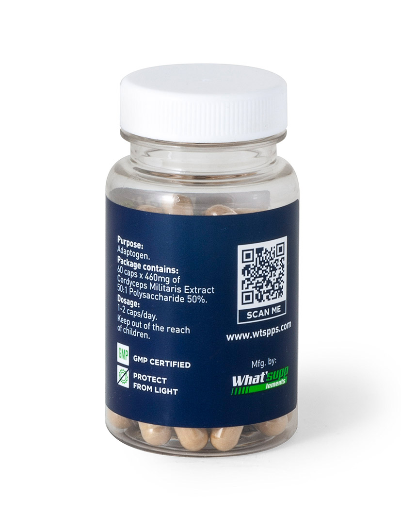 Cordyceps Militaris Extract (Polysaccharide 50%) / 60caps x 460mg — изображение 2